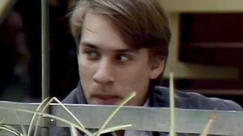 Mikkels motiver Bild 1