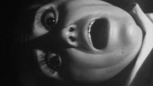 Museo del Horror Bild 2