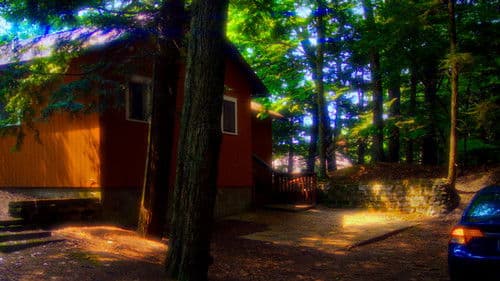 From The Rain Bild 1