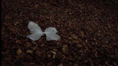 Quan ningú ens mira Bild 1