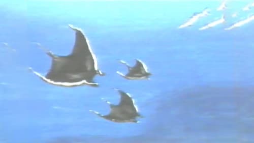 Hampie - ein kleiner Wal entdeckt seine Welt Bild 3