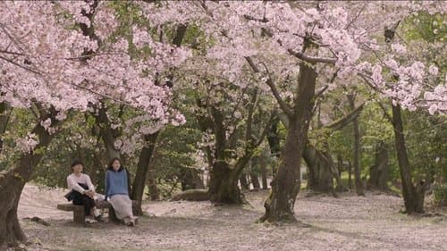 막다른 골목의 추억 Bild 1