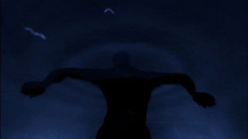 Rehearsals for Retirement Bild 1