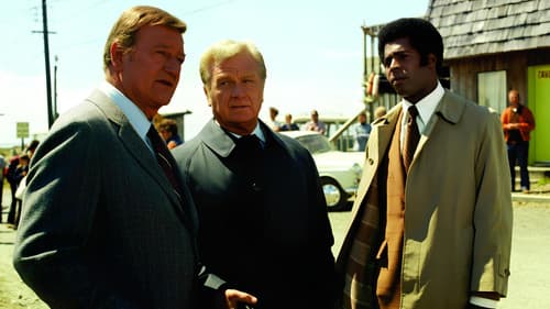 McQ schlägt zu Bild 2