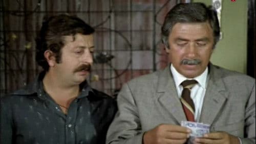 Köyden Indim Sehire Bild 3