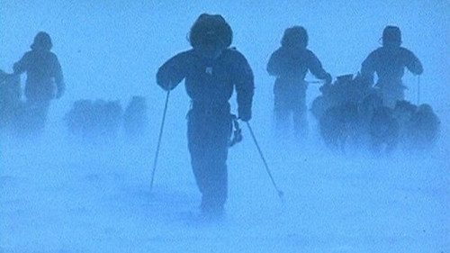 Au Sud du Sud Bild 2