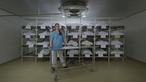 Samtidigt på Jorden Bild 1