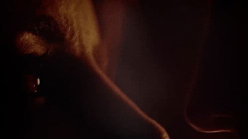 Turquoise Boy Bild 1