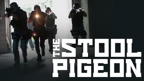 The Stool Pigeon Bild 6