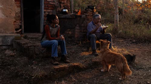 Suçuarana Bild 1