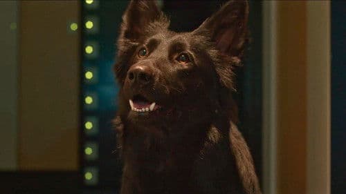 Closed Circuit Bild 3