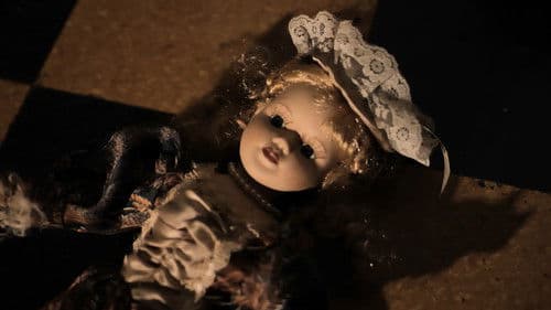 Coleccionista Bild 2