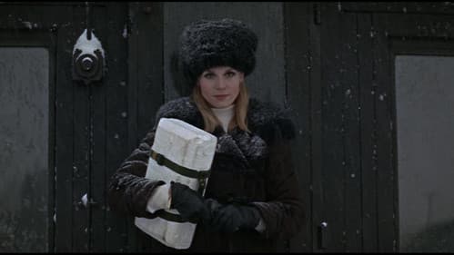 Das Milliarden Dollar-Gehirn Bild 7