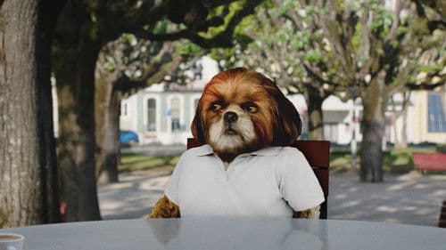 O Filme do Bruno Aleixo Bild 1