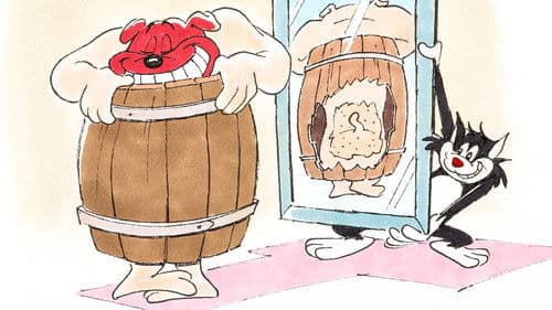 Ventriloquist Cat Bild 1