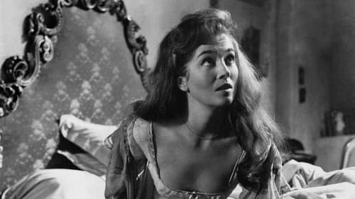 Schatten einer Katze Bild 2