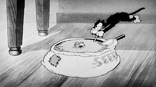 The Bird Store Bild 3