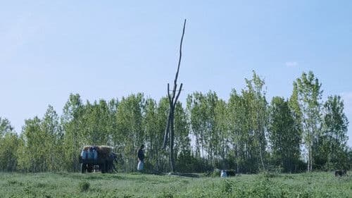 Hukkle - Das Dorf Bild 3