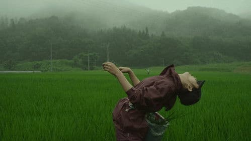 Little Forest: Summer/Autumn Bild 4