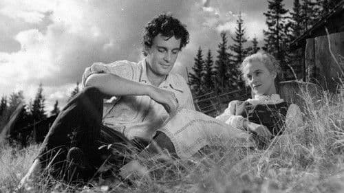 Driver dagg faller regn Bild 3