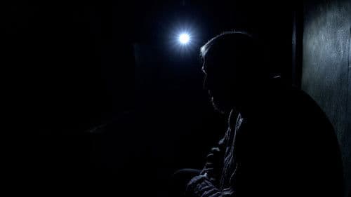 Сірі бджоли Bild 4