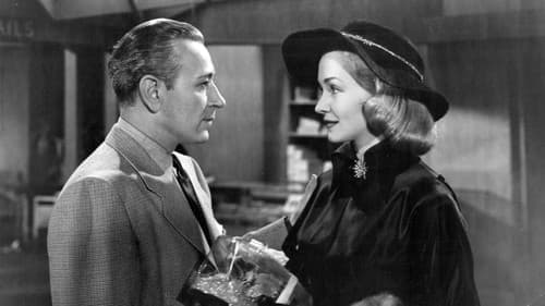 Johnny Allegro Bild 4