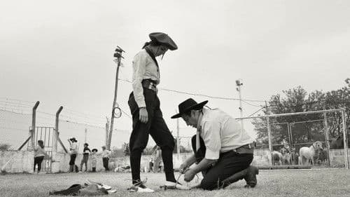 Gaucho Gaucho Bild 1