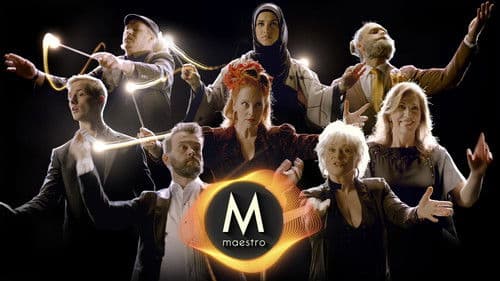 Maestro Bild 1