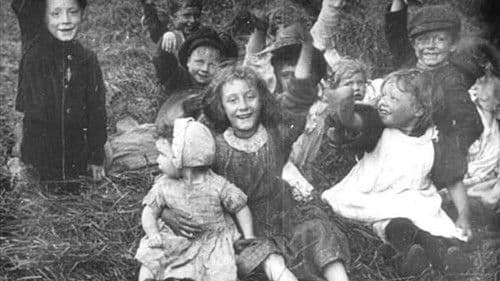 A Day in the Hayfields Bild 1