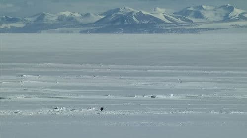 Begegnungen am Ende der Welt Bild 2