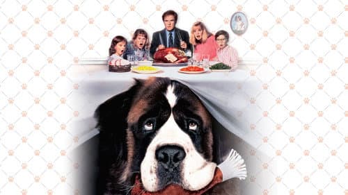 Ein Hund namens Beethoven Bild 7