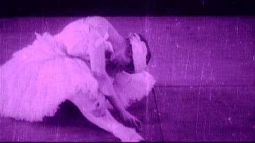 Умирающий лебедь Bild 2