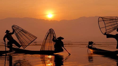 Planet 4K - Unsere Erde in Ultra HD Bild 7