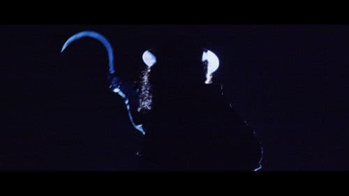 The Five Fingers of a Dog Bild 2