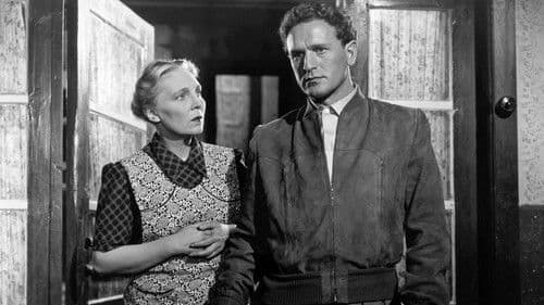 Rosen blühen auf dem Heidegrab Bild 7