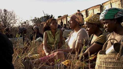 Comboio de Sal e Açucar Bild 2