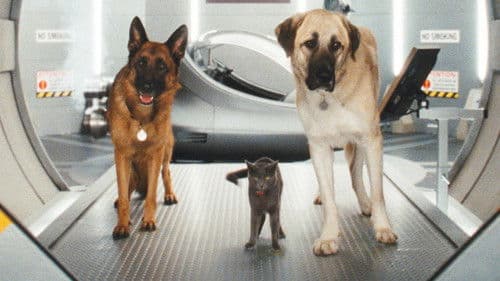 Cats & Dogs - Die Rache der Kitty Kahlohr Bild 3