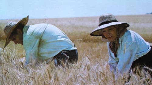 Tierra de rastrojos Bild 1