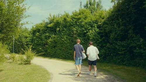 Die Wichtigkeit der Freundschaft Bild 3