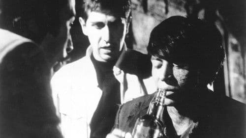 Chin Chin el teporocho Bild 1