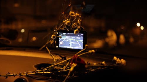 Bird in a Box Bild 3