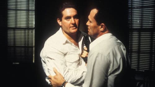 Liar - Scharfe Täuschung Bild 4