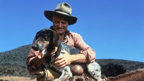 Im Tal der Apachen Bild 1