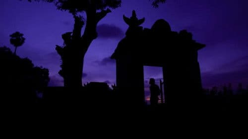 அட்டகத்தி Bild 5