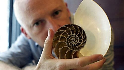 Der Code - Die Entschluesselung der Welt Bild 2