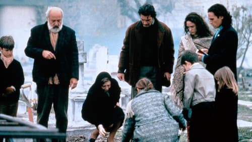 Von Liebe und Schatten Bild 6