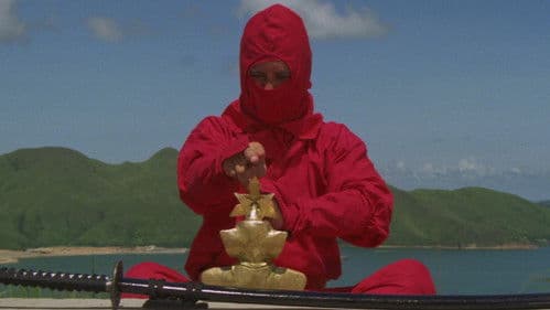 Ninja Terminator Bild 8