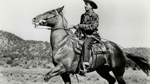 The Strawberry Roan Bild 1