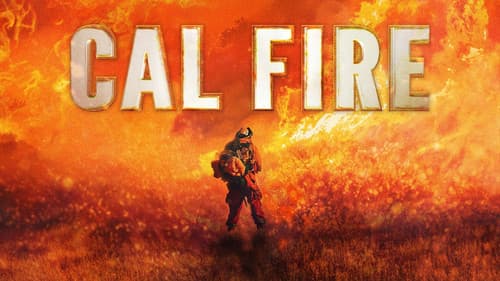 Cal Fire Bild 2
