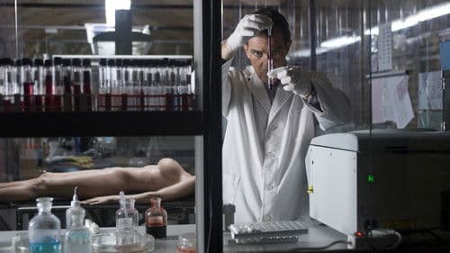 Die Haut, in der ich wohne Bild 5